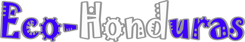 Sitio Web 1
